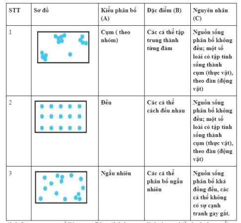 Bảng 42.1. Sơ đồ các kiểu phân bố cá thể trong quần thể