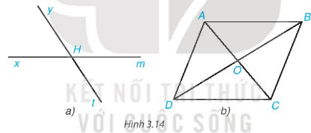 Giải bài 8 Góc ở vị trí đặc biệt, tia phân giác của một góc